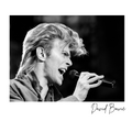 David Bowie