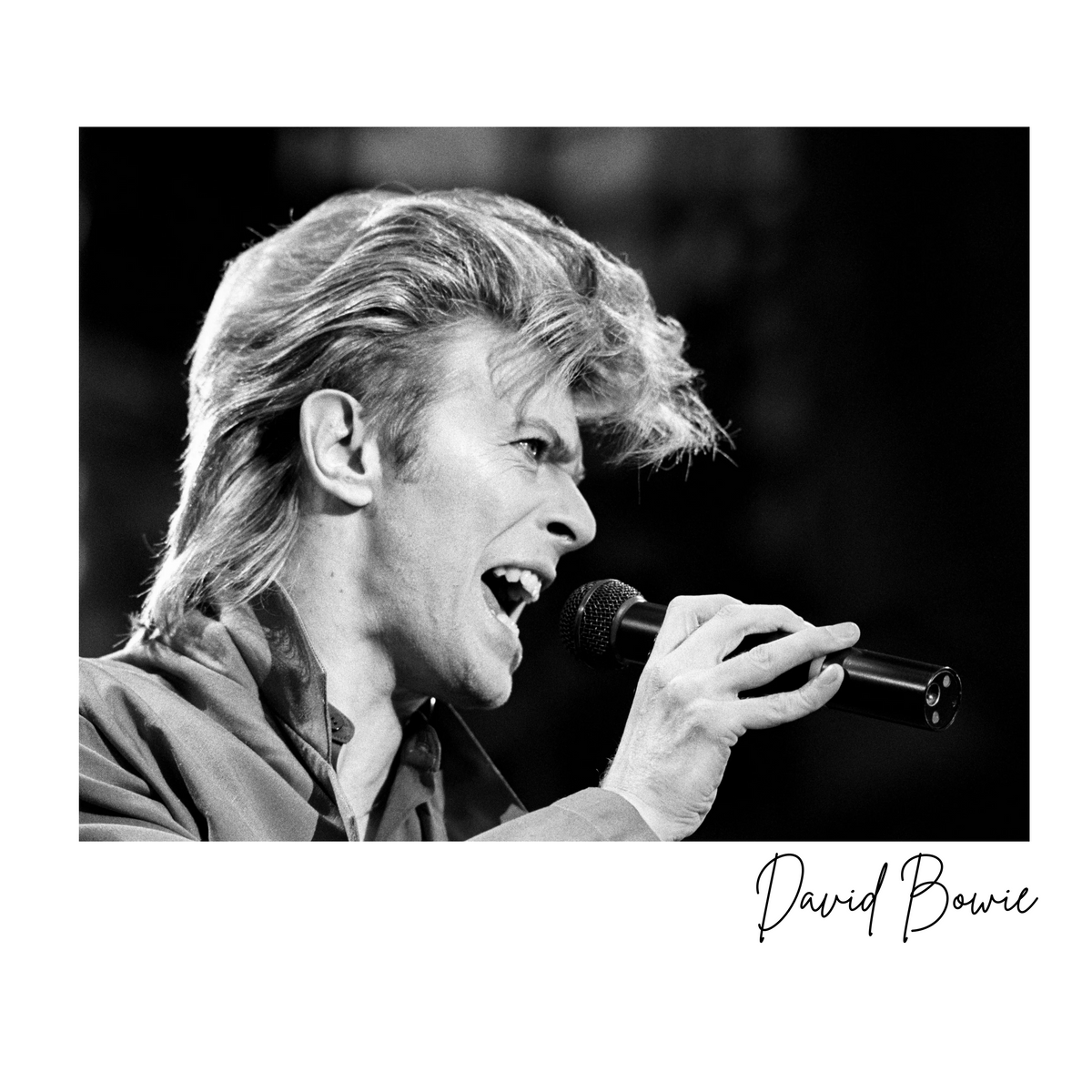 David Bowie