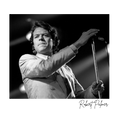 Robert Palmer