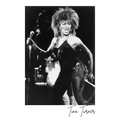 Tina Turner